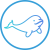 Beluga Protocol logo