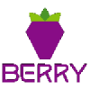 Логотип Berry Data