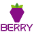 Berry Data 徽标