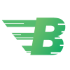 Логотип Bitcashpay (old)