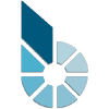 bitCNY логотип