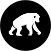 Логотип BlackPool