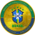 Brazil National Football Team Fan Token 徽标