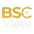 Bscview logotipo