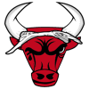 Логотип Bull Coin