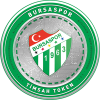 نشان‌واره Bursaspor Fan Token