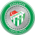 Bursaspor Fan Token 徽标