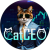 Cat CEO 徽标