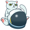 Cat Token логотип