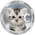CatCoin Inuのロゴ