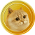 Catge coin logo