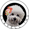 Clavell Inu Logo