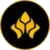Логотип DefiDollar DAO