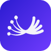 نشان‌واره Dill