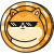 DogeBTC logosu