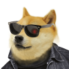 DOGEFI logo DOGEFI logo