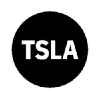 Tesla Tokenized Stock Defichain logo