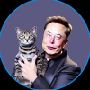 شعار Elon Cat