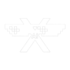 Grok X Ai logotipo