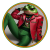 GucciPepe logo