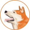 Hachi логотип
