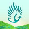 Логотип Heron Asia