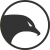 Insight Chain логотип
