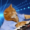 شعار Keyboard Cat