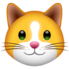 KittenFinanceのロゴ