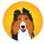 logo Lassie Inu