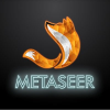 Логотип Metaseer