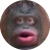 Monkecoinのロゴ