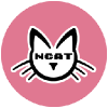 Логотип NCAT Token