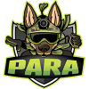 ParaToken logo