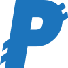 PayNet Coin logo