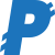 PayNet Coin логотип