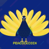 PEACOCKCOIN (BSC)のロゴ