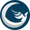 logo PhoenixDefi.Finance