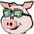 Pig Finance 徽标