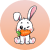 Rabbit INU logosu