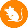 rats (Ordinals) 로고