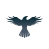 شعار Raven Protocol