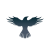 Raven Protocol logosu