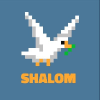 Логотип Shalom