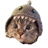 Shark Cat 徽标