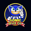 Sonic Space Cat logo