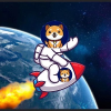 Starship Dogeのロゴ