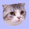 Логотип Taylor Swift's Cat MEREDITH