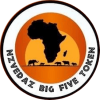 The Big Five Token logotipo