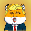Логотип Trump Shiba
